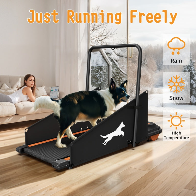 Cinta de correr para perros pequeños - Cinta de correr para perros medianos - Cinta de correr Dog Pacer para mascotas sanas y en forma
Dog Treadmill Small Dogs - Dog Treadmill For Medium Dogs - Dog Pacer Treadmill For Healthy & Fit Pets