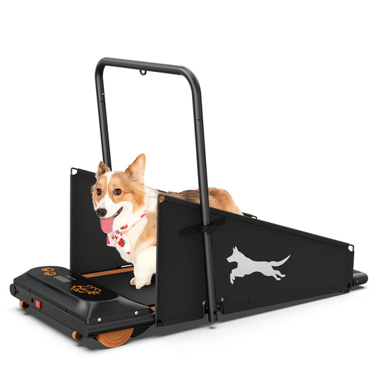 Cinta de correr para perros pequeños - Cinta de correr para perros medianos - Cinta de correr Dog Pacer para mascotas sanas y en forma
Dog Treadmill Small Dogs - Dog Treadmill For Medium Dogs - Dog Pacer Treadmill For Healthy & Fit Pets