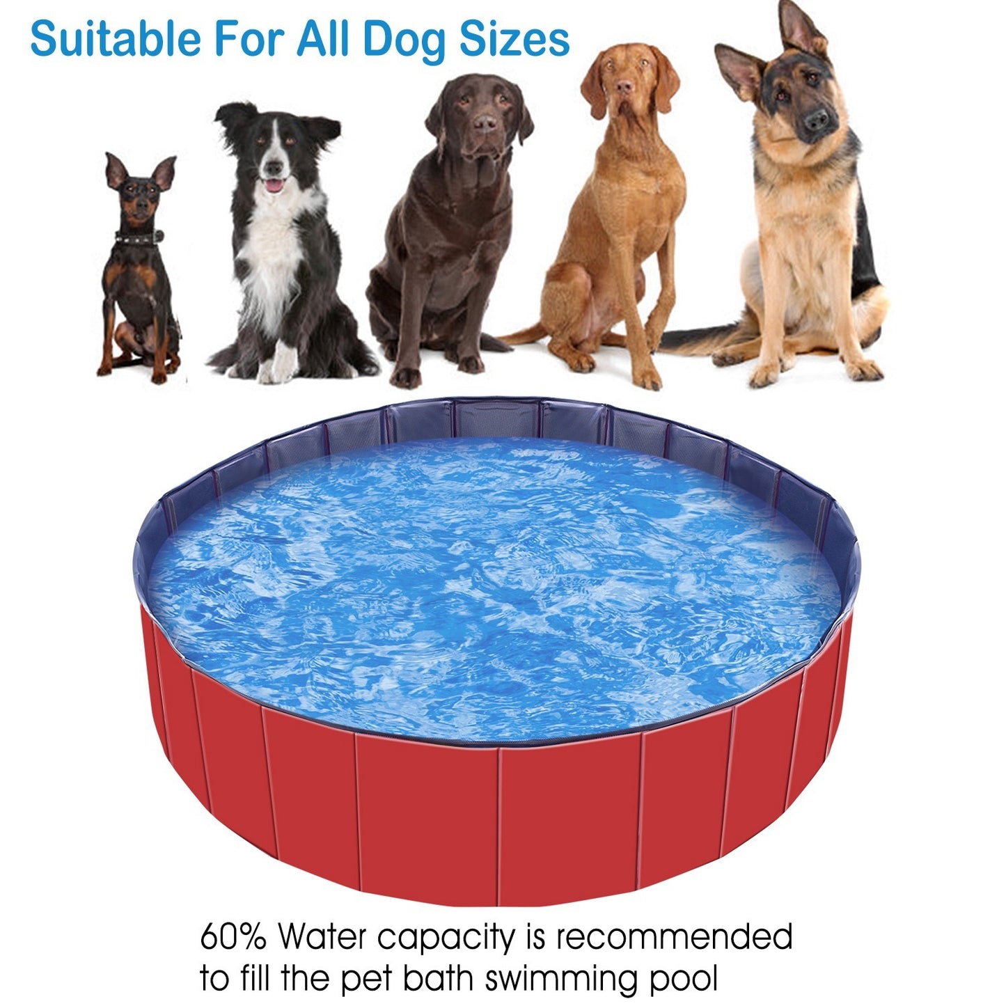 Foldable PVC Pet Swimming Pool (160 x 160 x 30 cm, 63 x 63 x 11.8 inches) 
1Pc 160 X 160 X 30cm-63.0 X 63.0