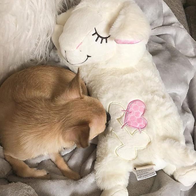 Juguete para dormir ansiolítico para mascotas con control del ritmo cardíaco
Pet Anti Anxiety Sleeping Toy Heartbeat Apparatus