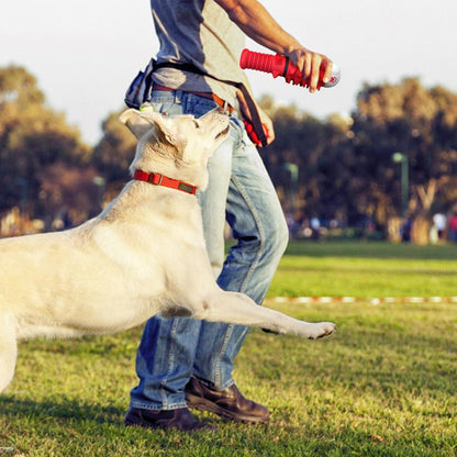 Juguete interactivo diseñados para perros medianos y grandes