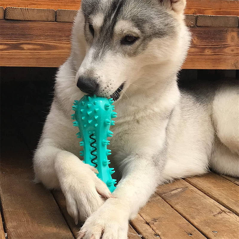 Juguete masticable e  indestructible, especial para la limpieza de dientes molares y perros grandes
Pet Dog Cleaning Chew Toys For Aggressive Dogs Rubber Molar Stick Dog Oral Teeth