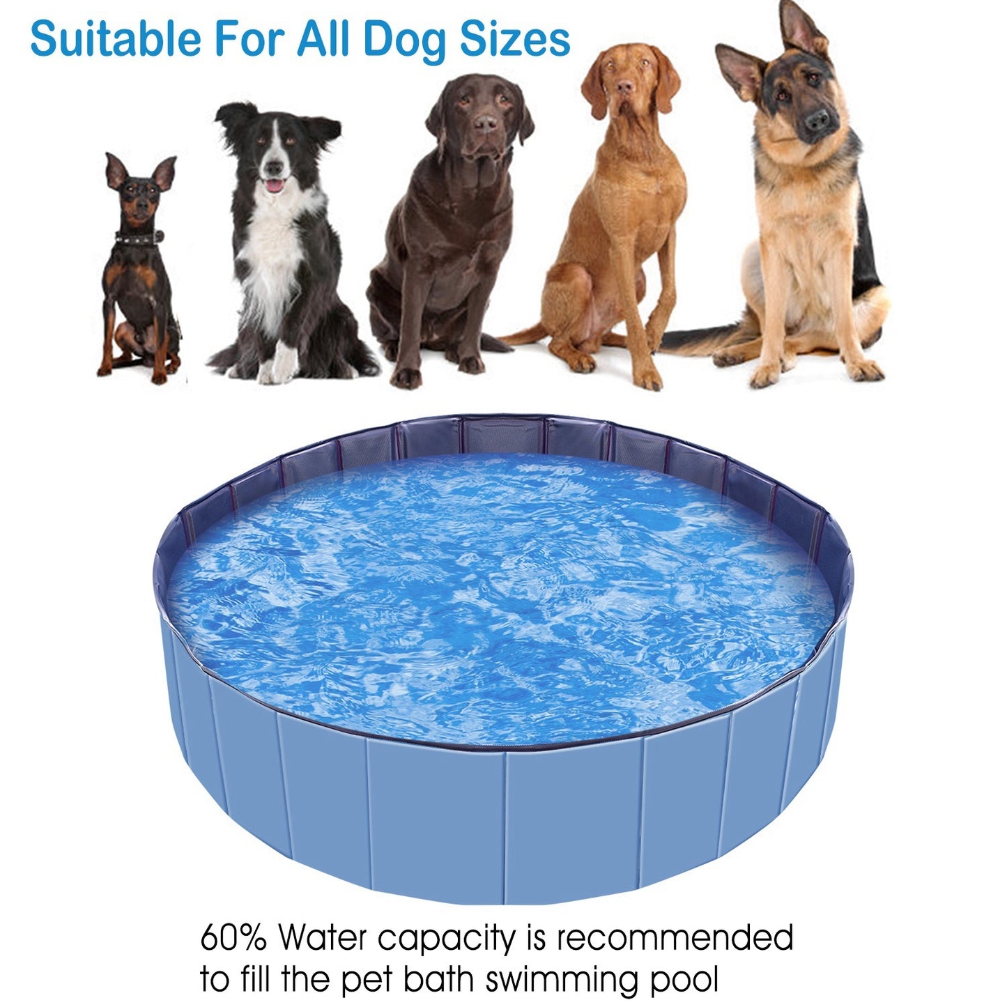 Foldable PVC Pet Swimming Pool (160 x 160 x 30 cm, 63 x 63 x 11.8 inches) 
1Pc 160 X 160 X 30cm-63.0 X 63.0