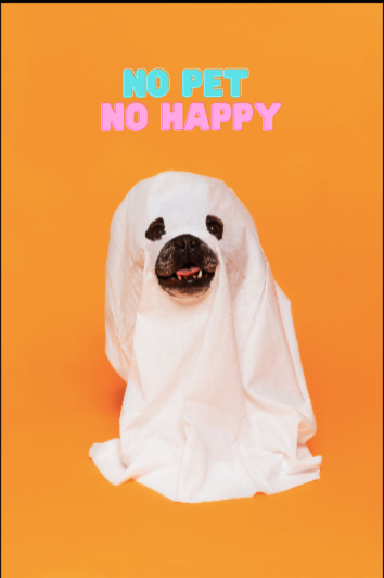 mascota pet no pet no happy 
